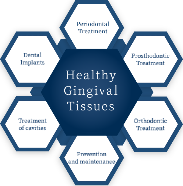 Gingival tissues